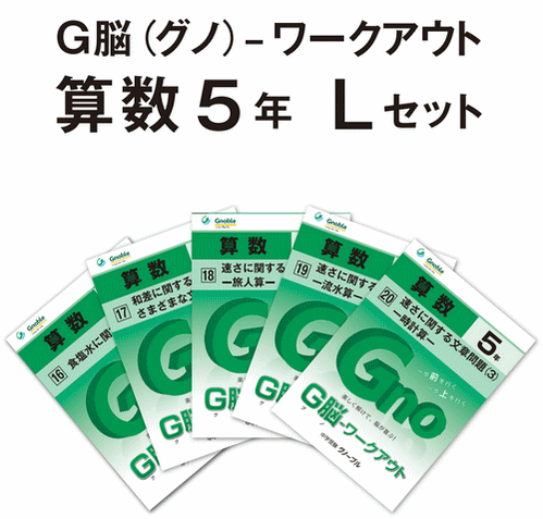 5年生版Lセット(No16～20)