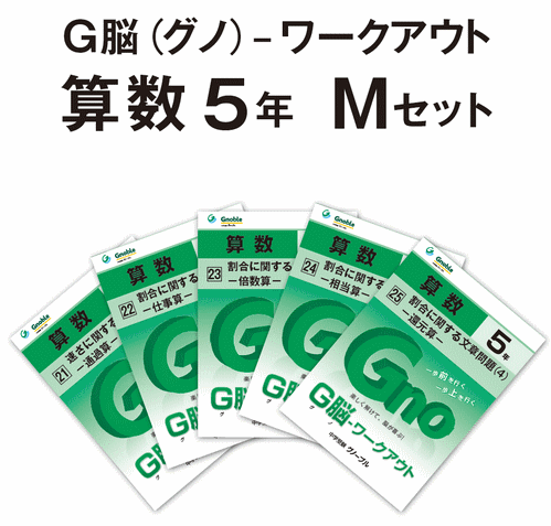 5年生版Mセット(No21～25)