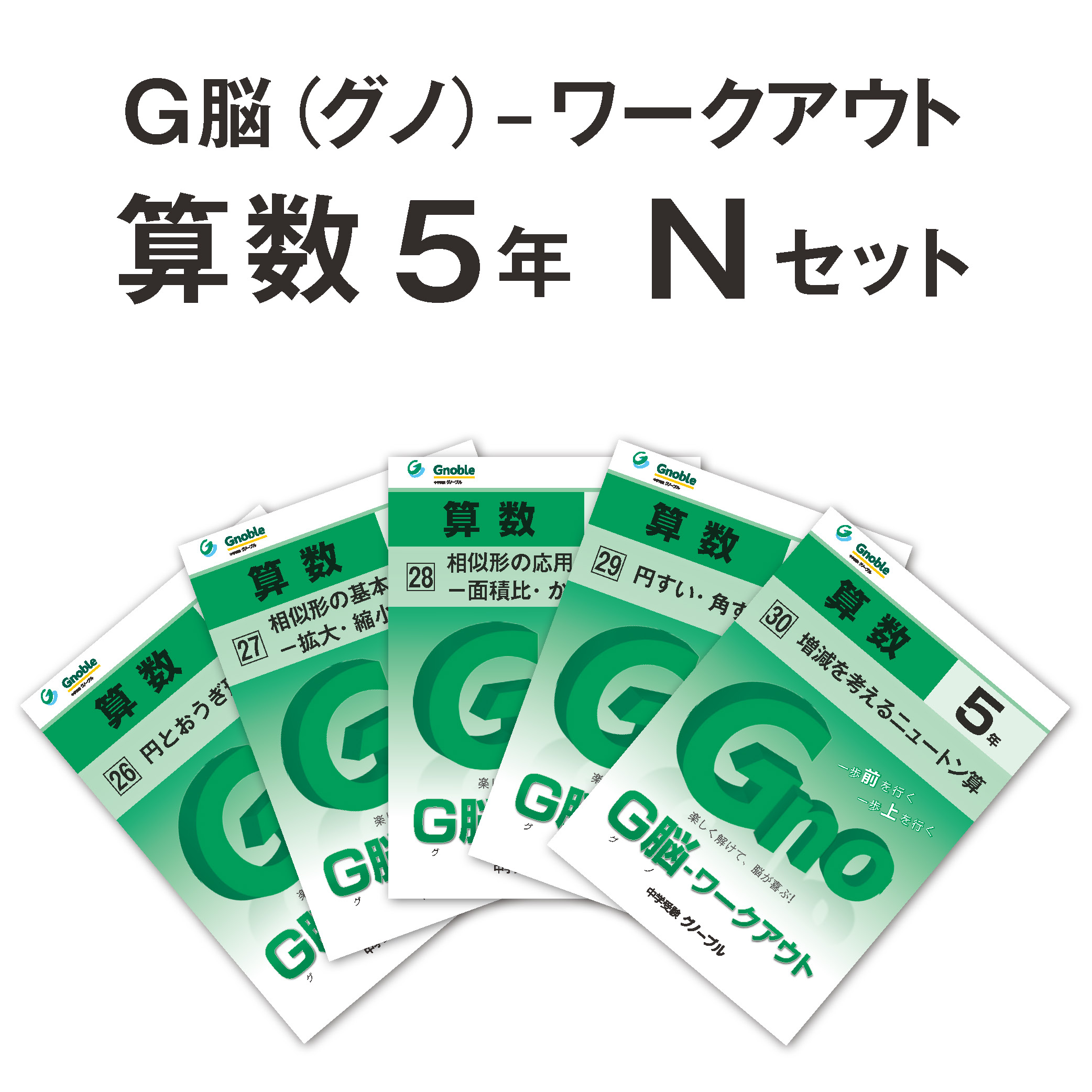 5年生版Nセット(No26～30)