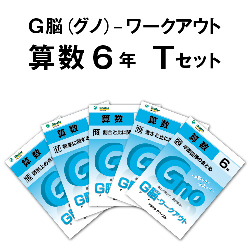 6年生版Tセット(No16～20)